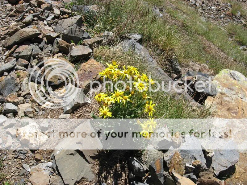 Photo Sharing and Video Hosting at Photobucket