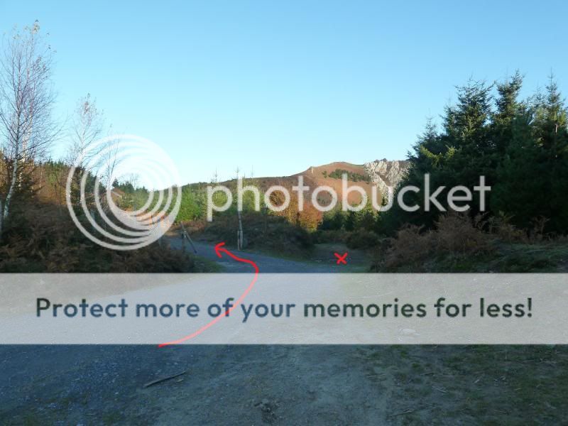Photo Sharing and otobucVideo Hosting at Phket
