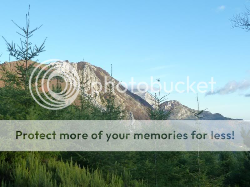 Photo Sharing and otobucVideo Hosting at Phket