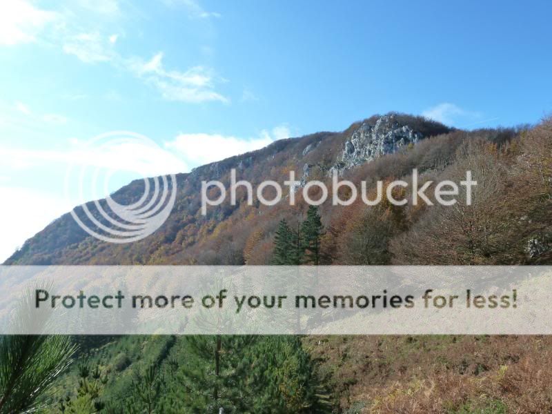 Photo Sharing and otobucVideo Hosting at Phket
