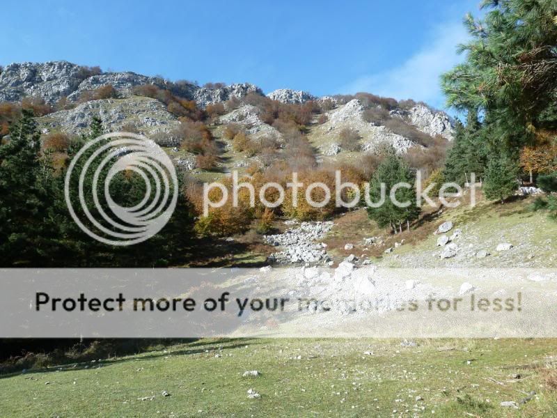 Photo Sharing and otobucVideo Hosting at Phket