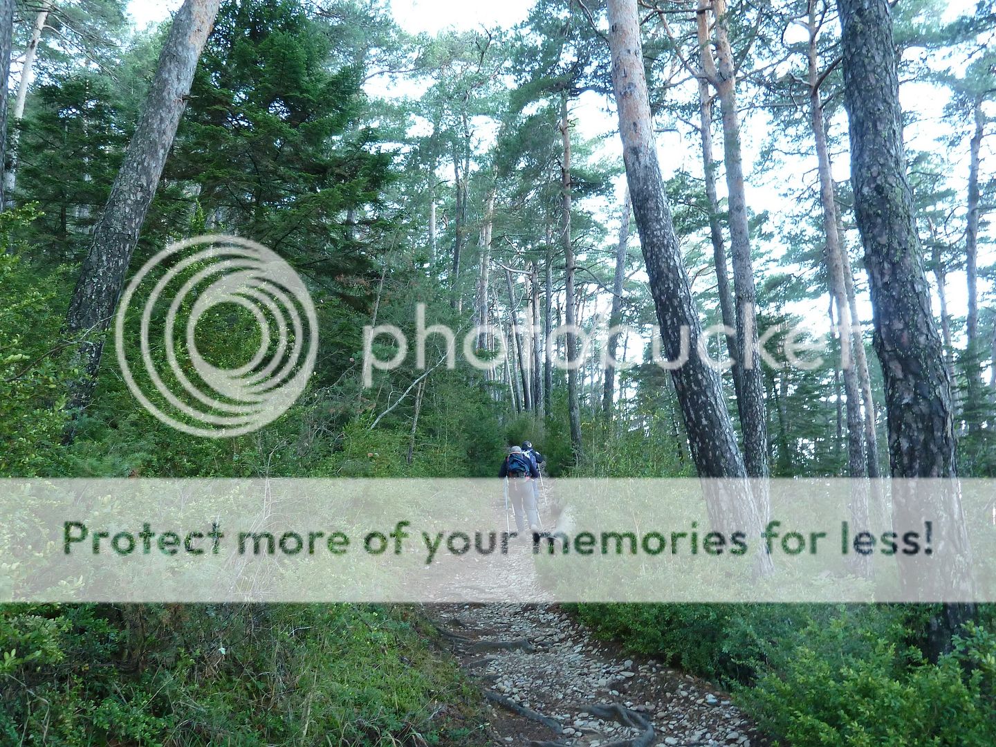 Photo Sharing and Video Hosting at Photobucket