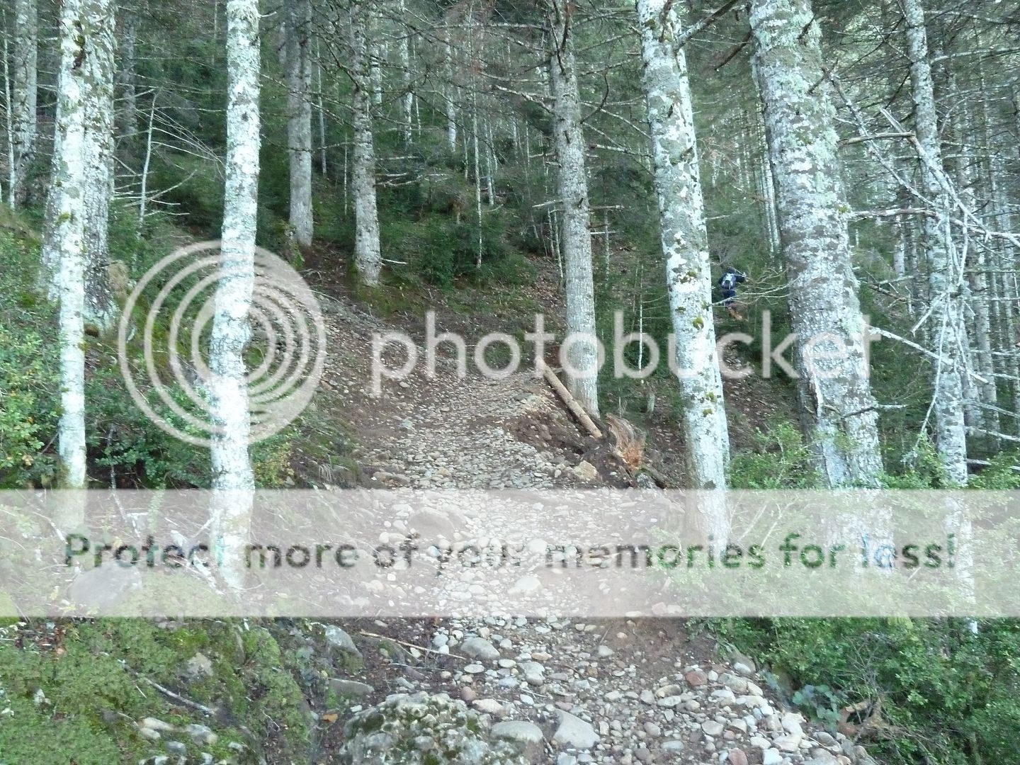 Photo Sharing and Video Hosting at Photobucket