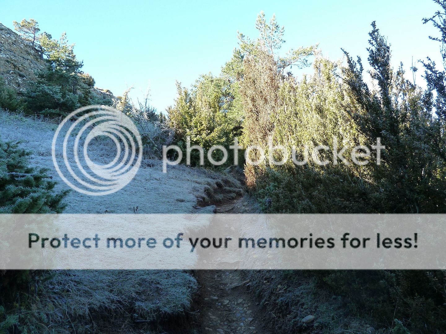 Photo Sharing and Video Hosting at Photobucket