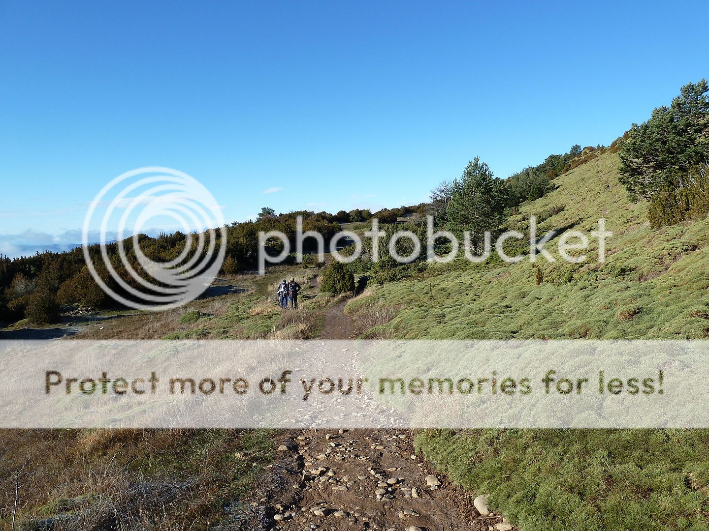 Photo Sharing and Video Hosting at Photobucket