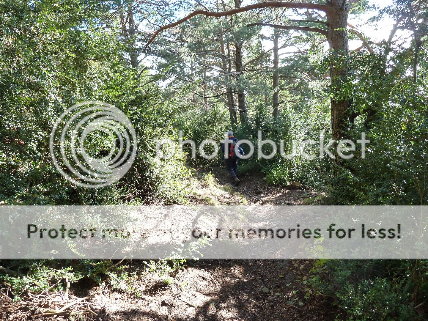 Photo Sharing and Video Hosting at Photobucket