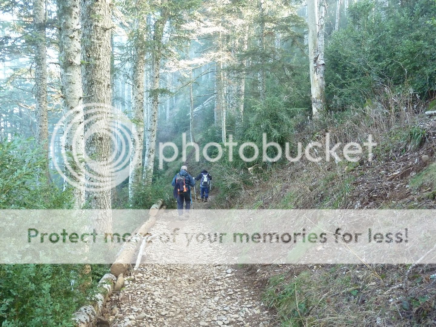 Photo Sharing and Video Hosting at Photobucket