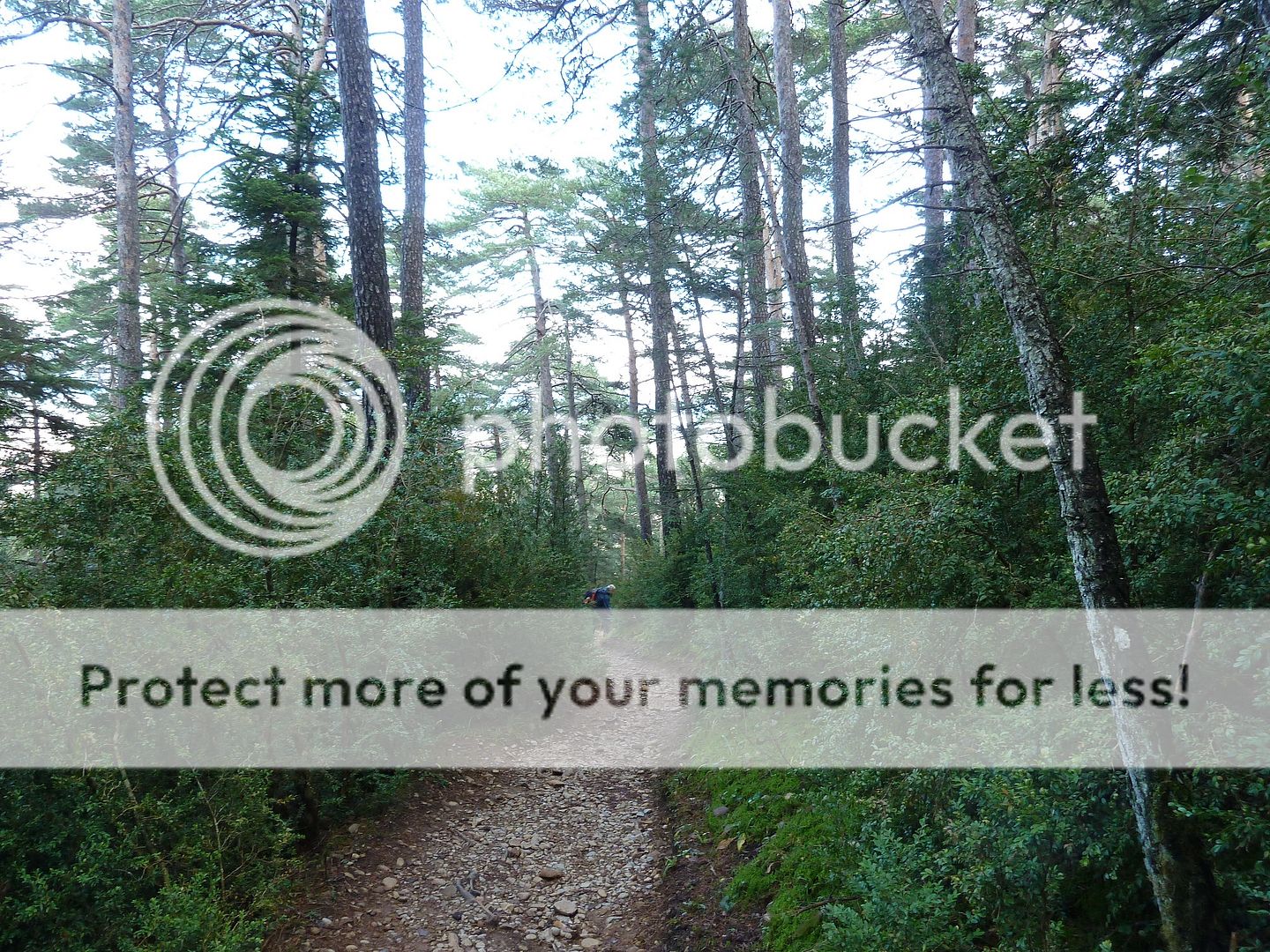 Photo Sharing and Video Hosting at Photobucket