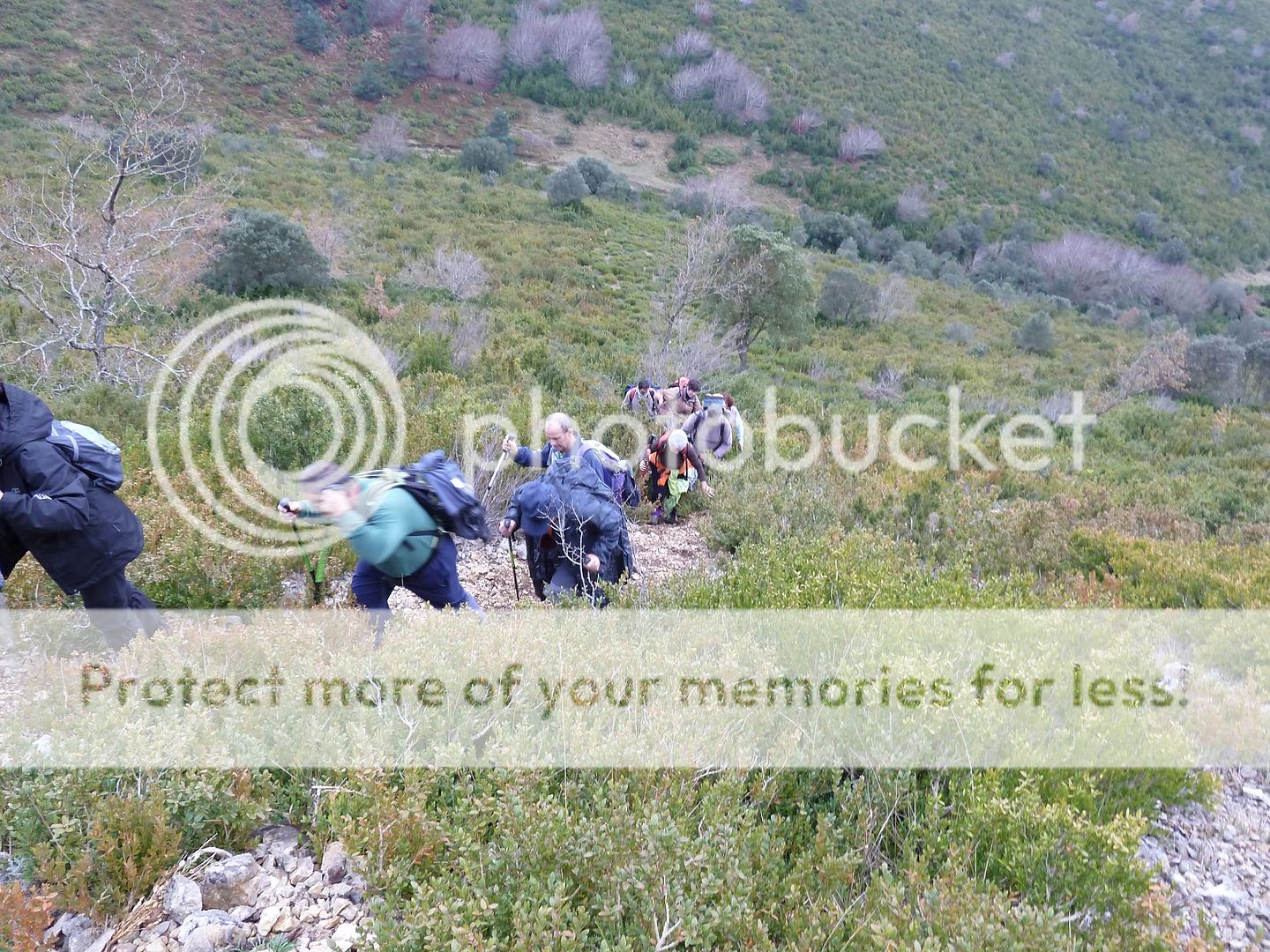 Photo Sharing and Video Hosting at Photobucket