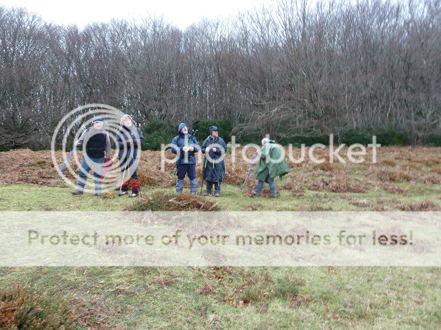 Photo Sharing and Video Hosting at Photobucket