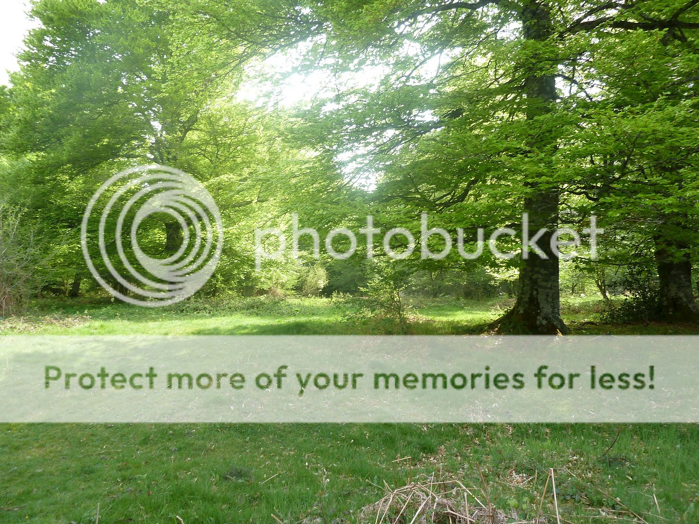 Photo Sharing and Video Hosting at Photobucket
