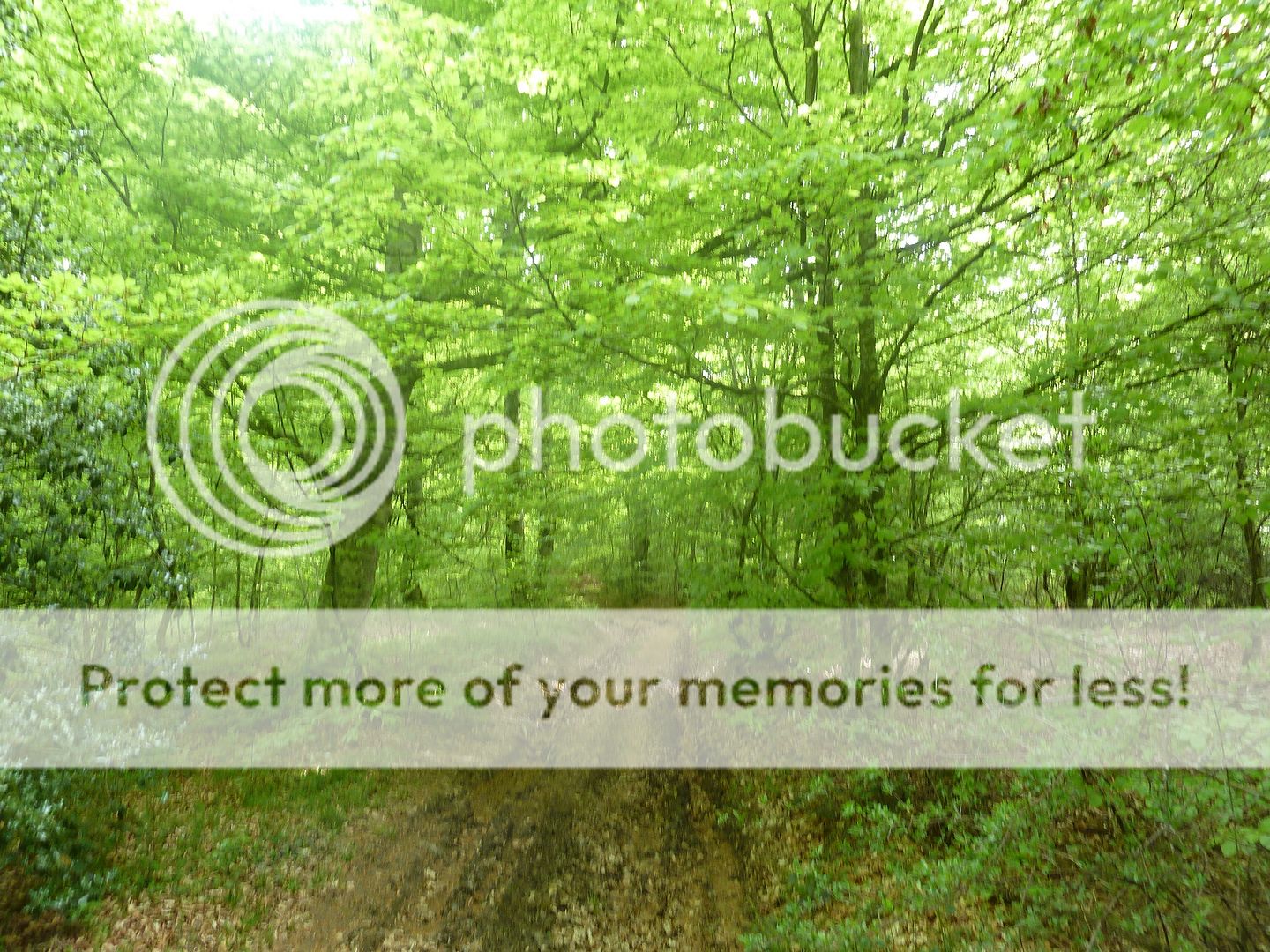 Photo Sharing and Video Hosting at Photobucket