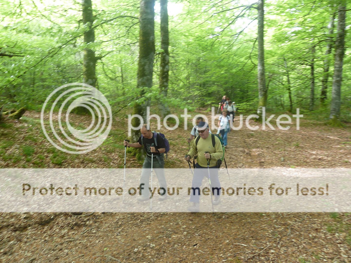 Photo Sharing and Video Hosting at Photobucket
