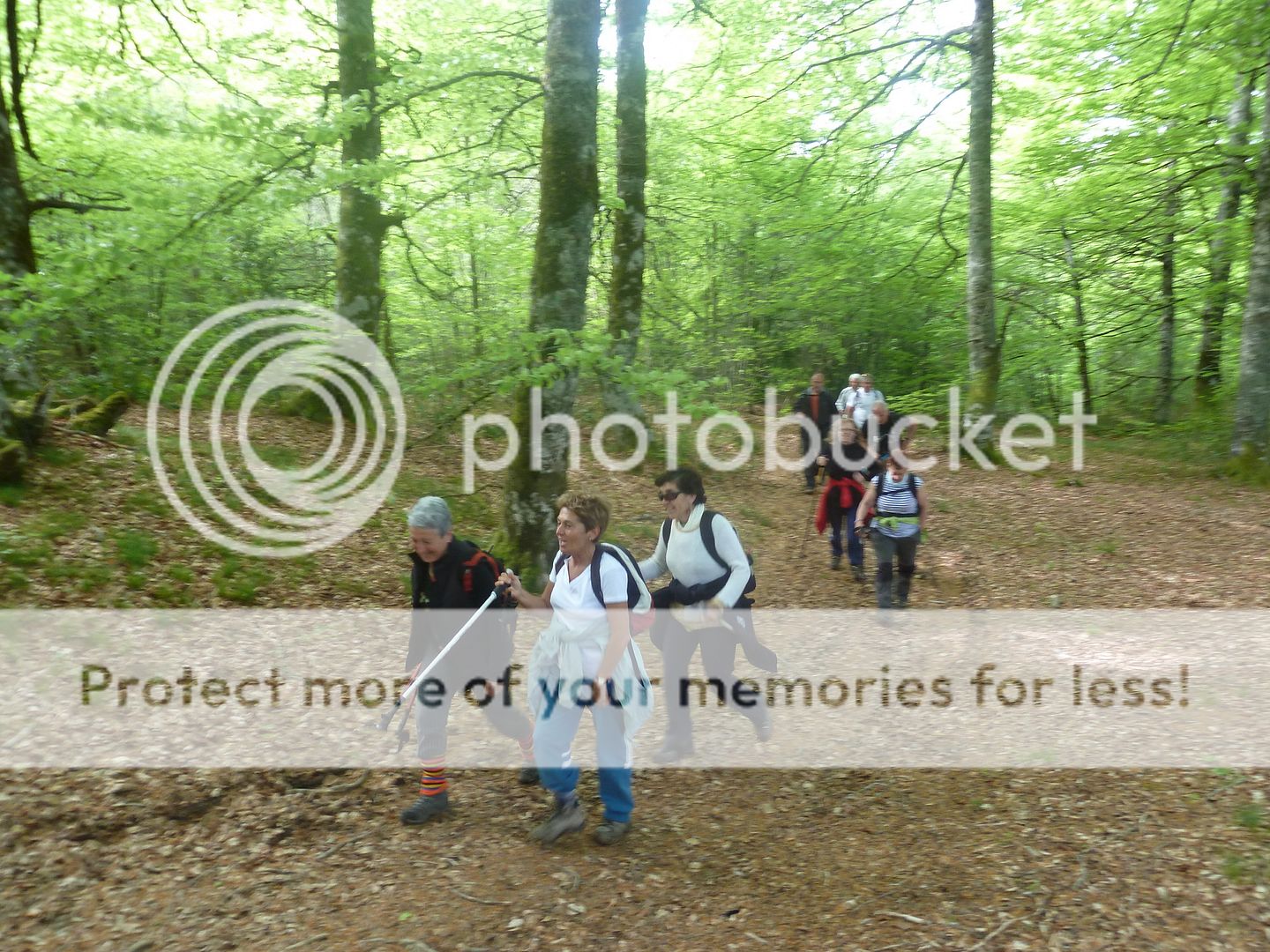 Photo Sharing and Video Hosting at Photobucket