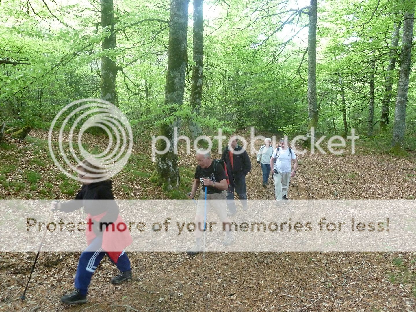 Photo Sharing and Video Hosting at Photobucket