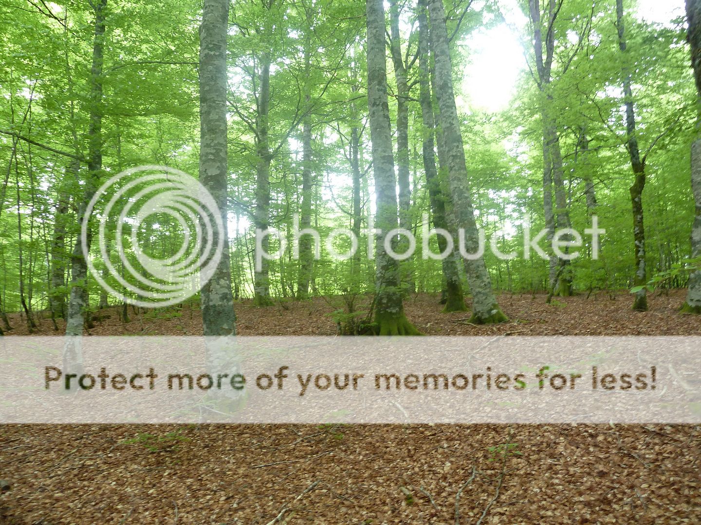 Photo Sharing and Video Hosting at Photobucket