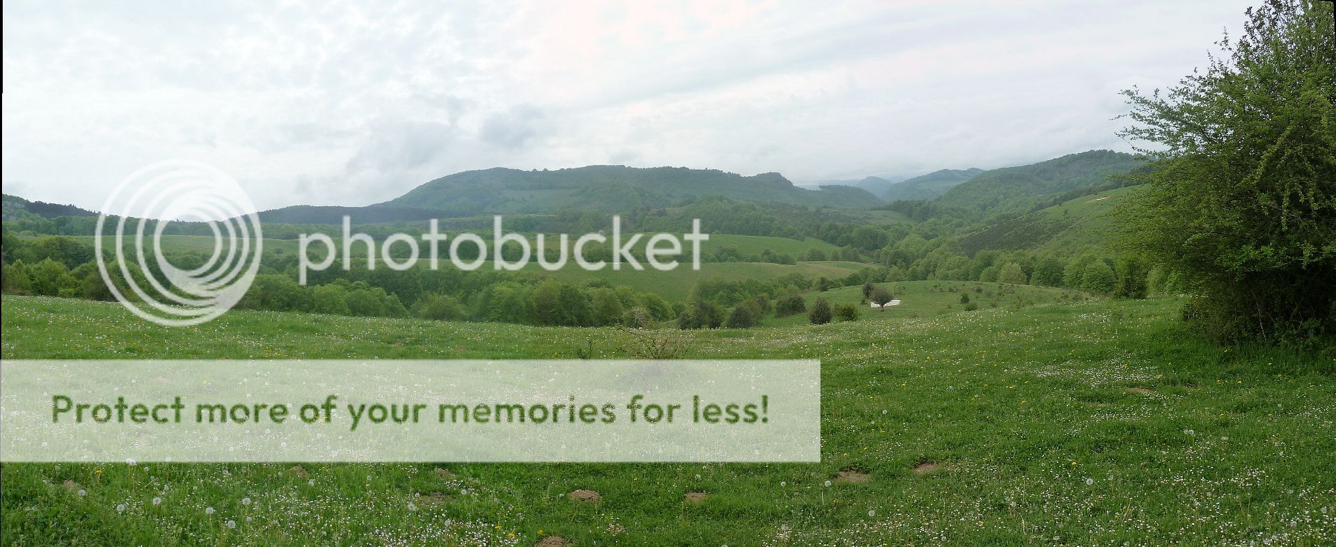 Photo Sharing and Video Hosting at Photobucket