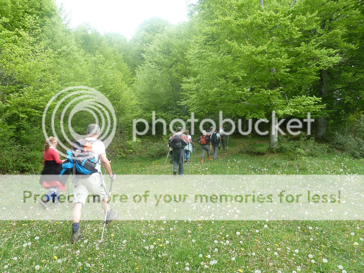 Photo Sharing and Video Hosting at Photobucket