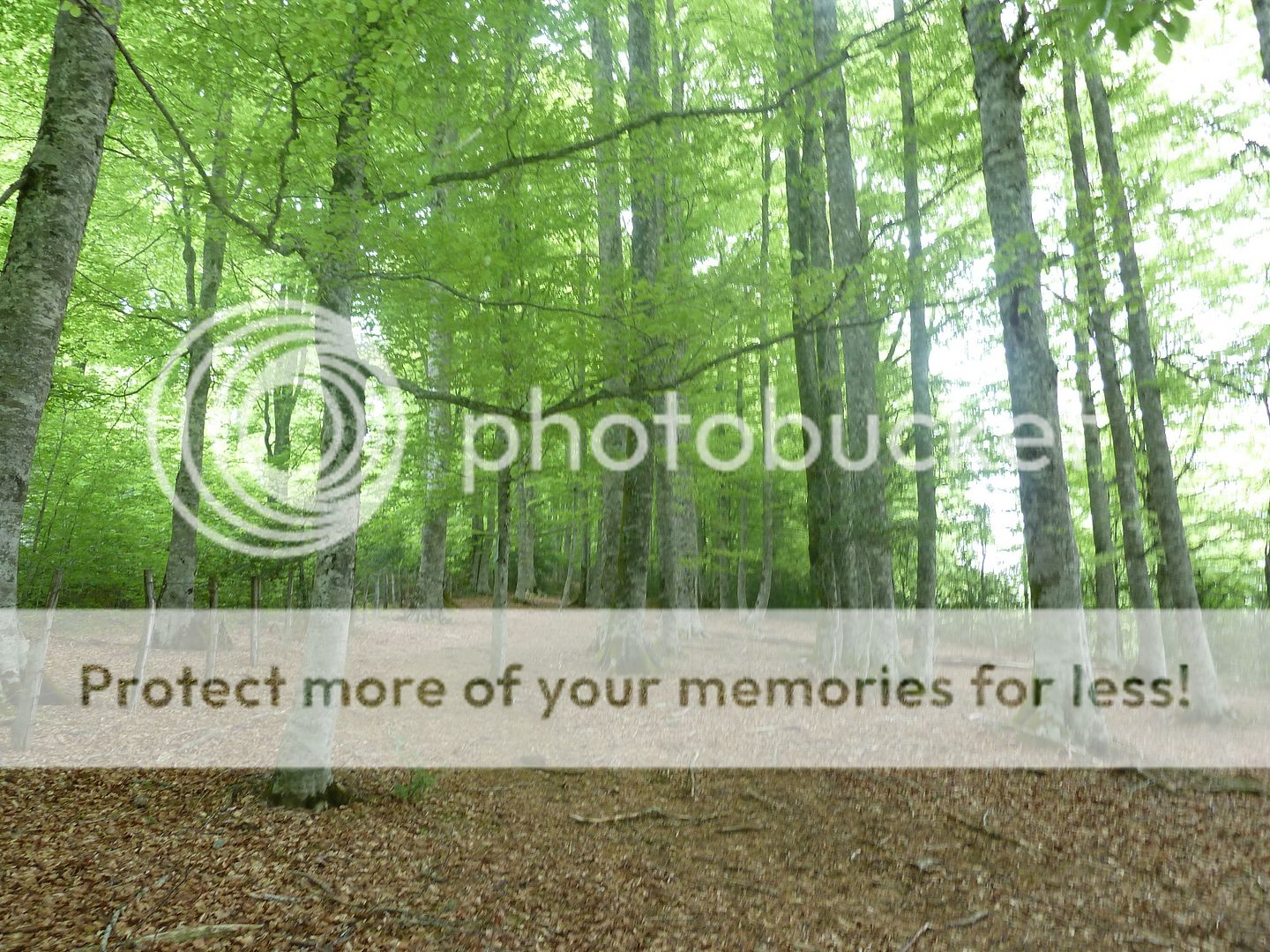 Photo Sharing and Video Hosting at Photobucket