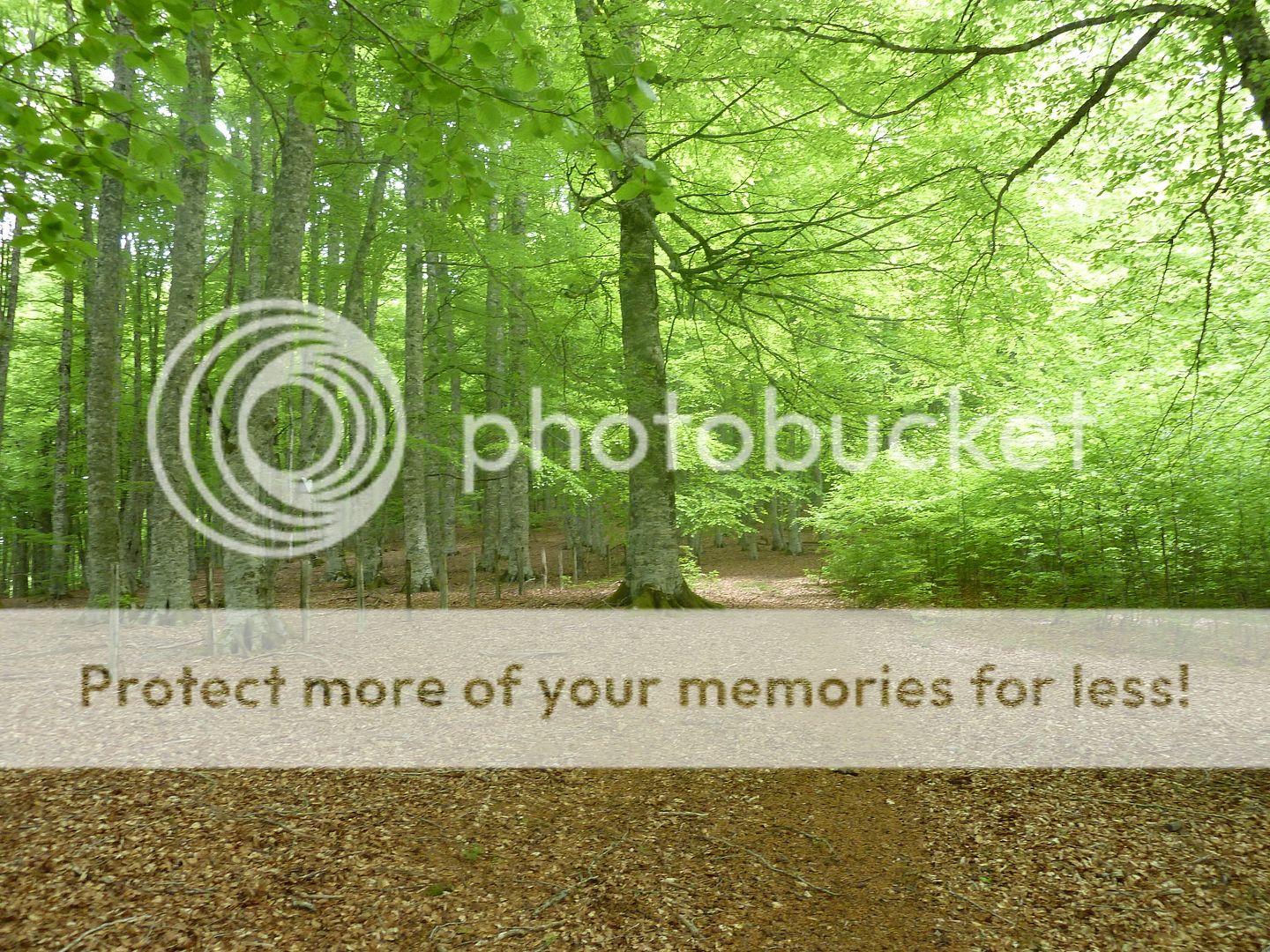 Photo Sharing and Video Hosting at Photobucket
