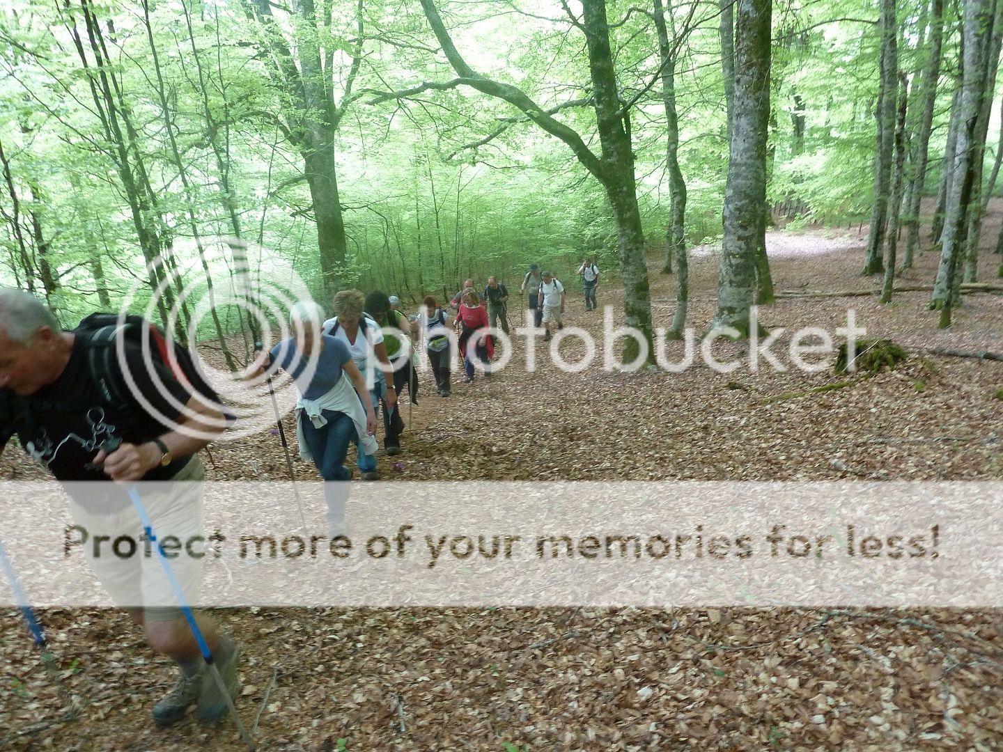 Photo Sharing and Video Hosting at Photobucket