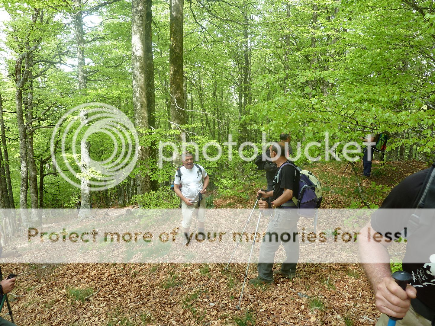 Photo Sharing and Video Hosting at Photobucket