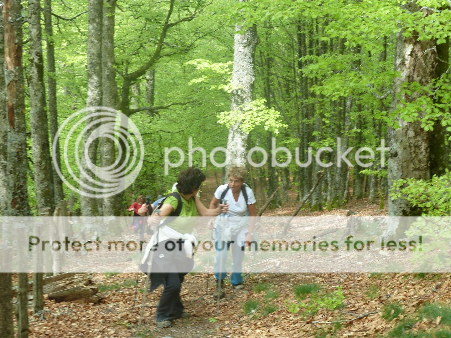 Photo Sharing and Video Hosting at Photobucket