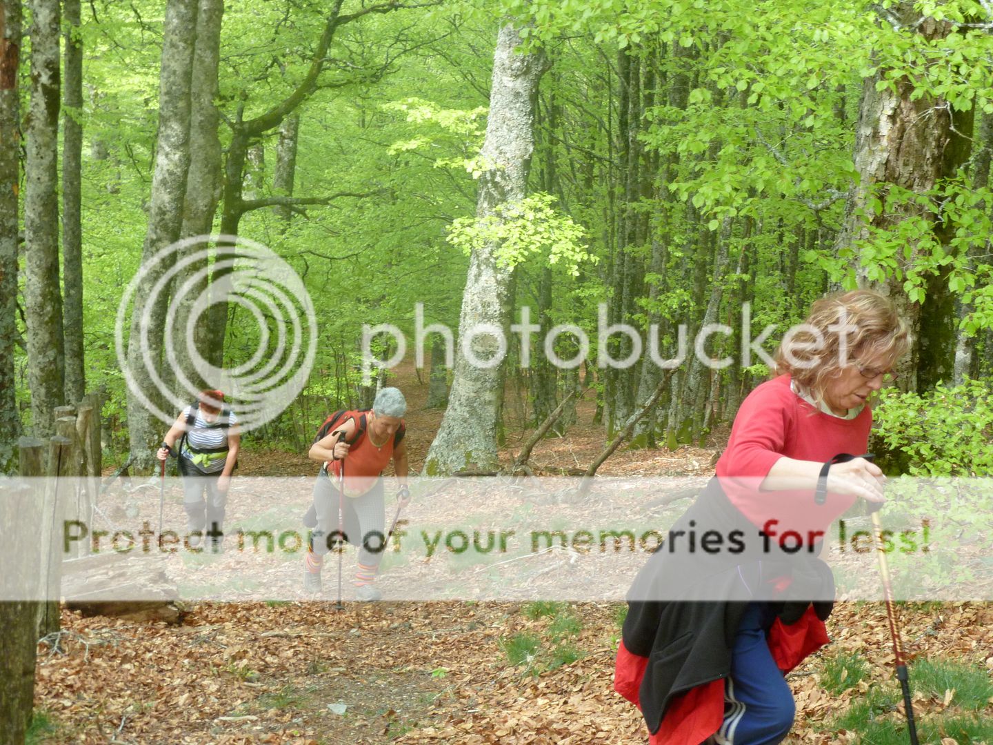 Photo Sharing and Video Hosting at Photobucket