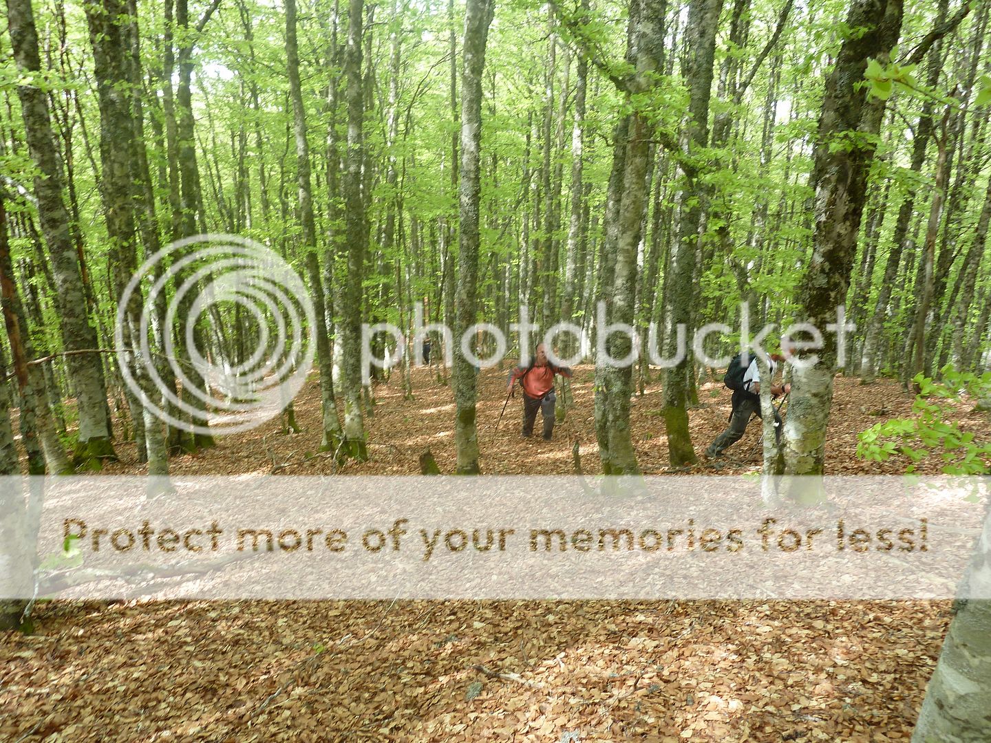 Photo Sharing and Video Hosting at Photobucket