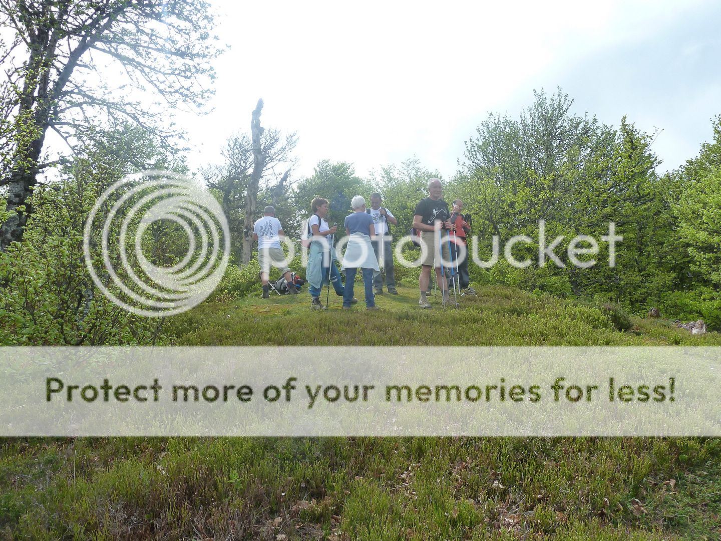 Photo Sharing and Video Hosting at Photobucket