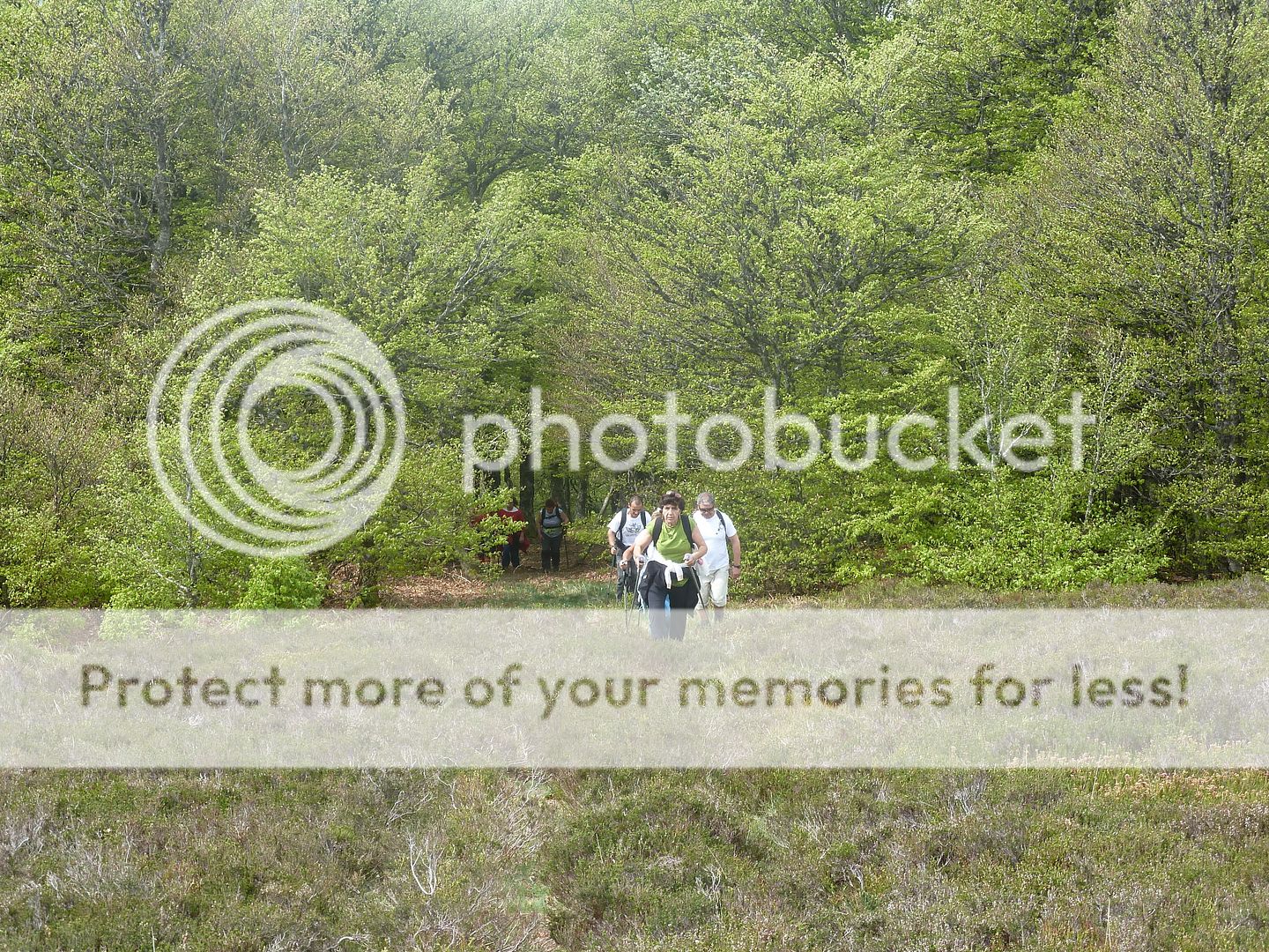 Photo Sharing and Video Hosting at Photobucket