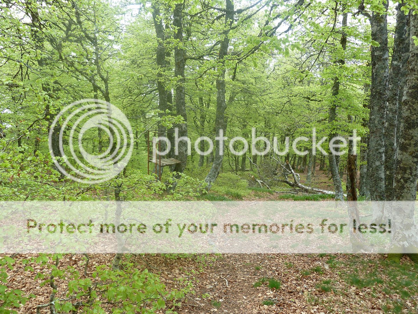 Photo Sharing and Video Hosting at Photobucket