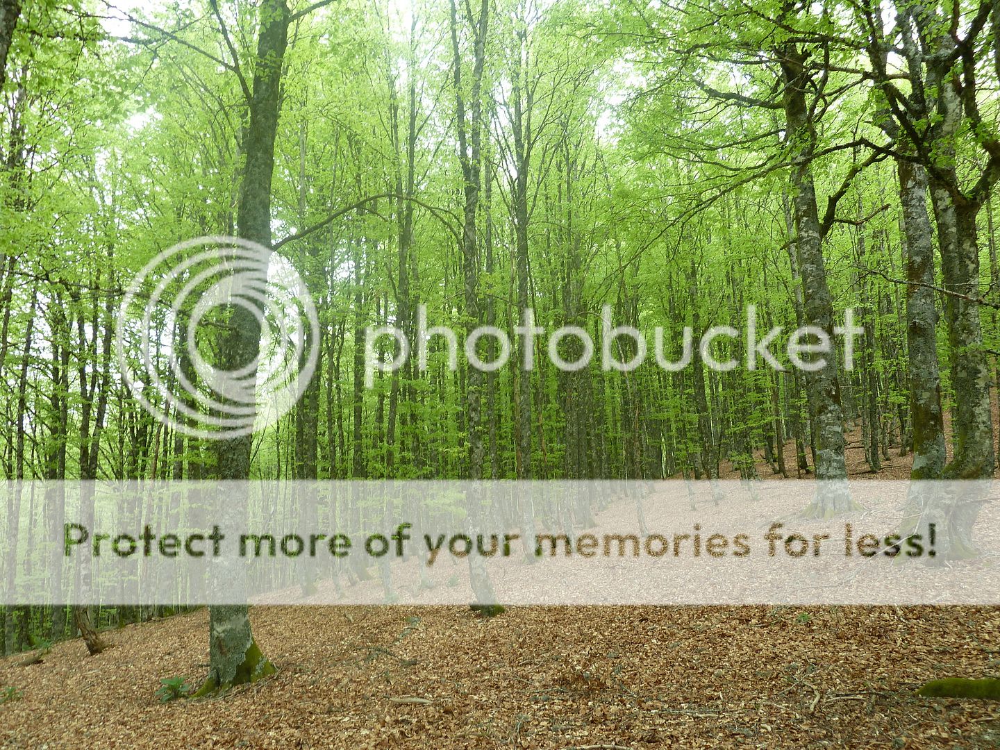 Photo Sharing and Video Hosting at Photobucket