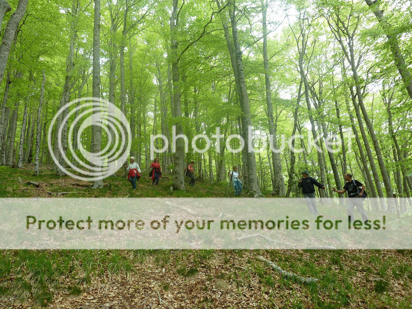 Photo Sharing and Video Hosting at Photobucket