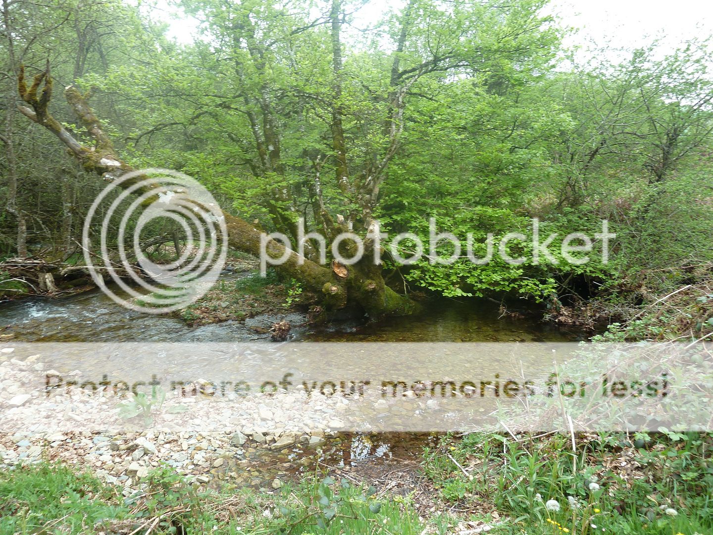 Photo Sharing and Video Hosting at Photobucket