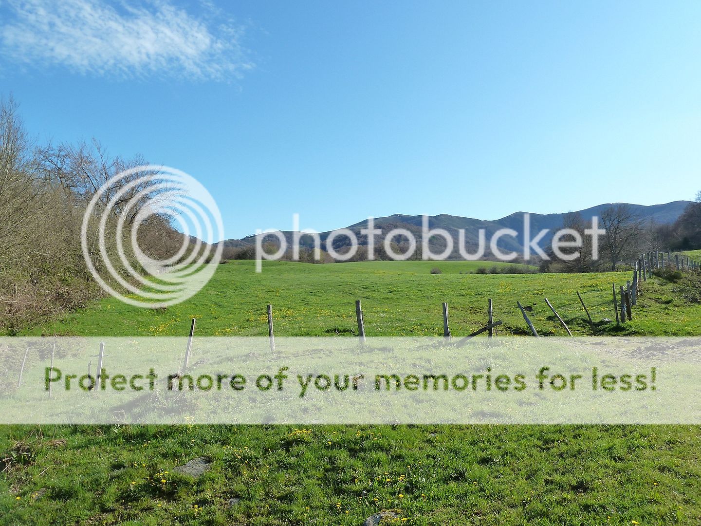 Photo Sharing and Video Hosting at Photobucket