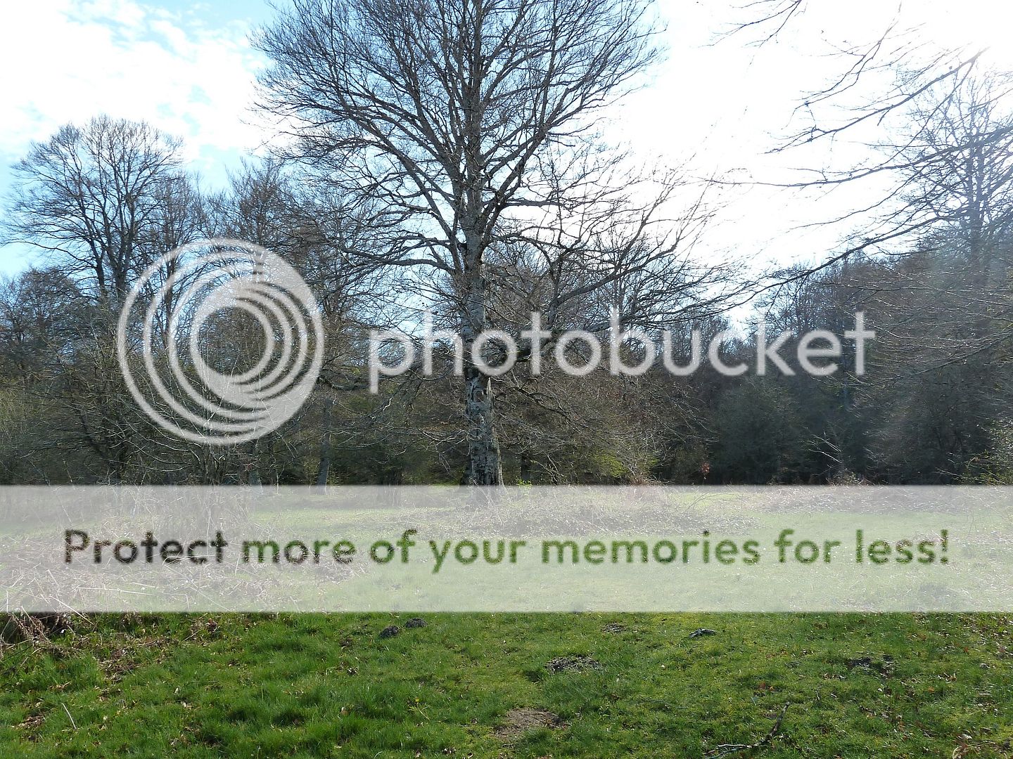 Photo Sharing and Video Hosting at Photobucket