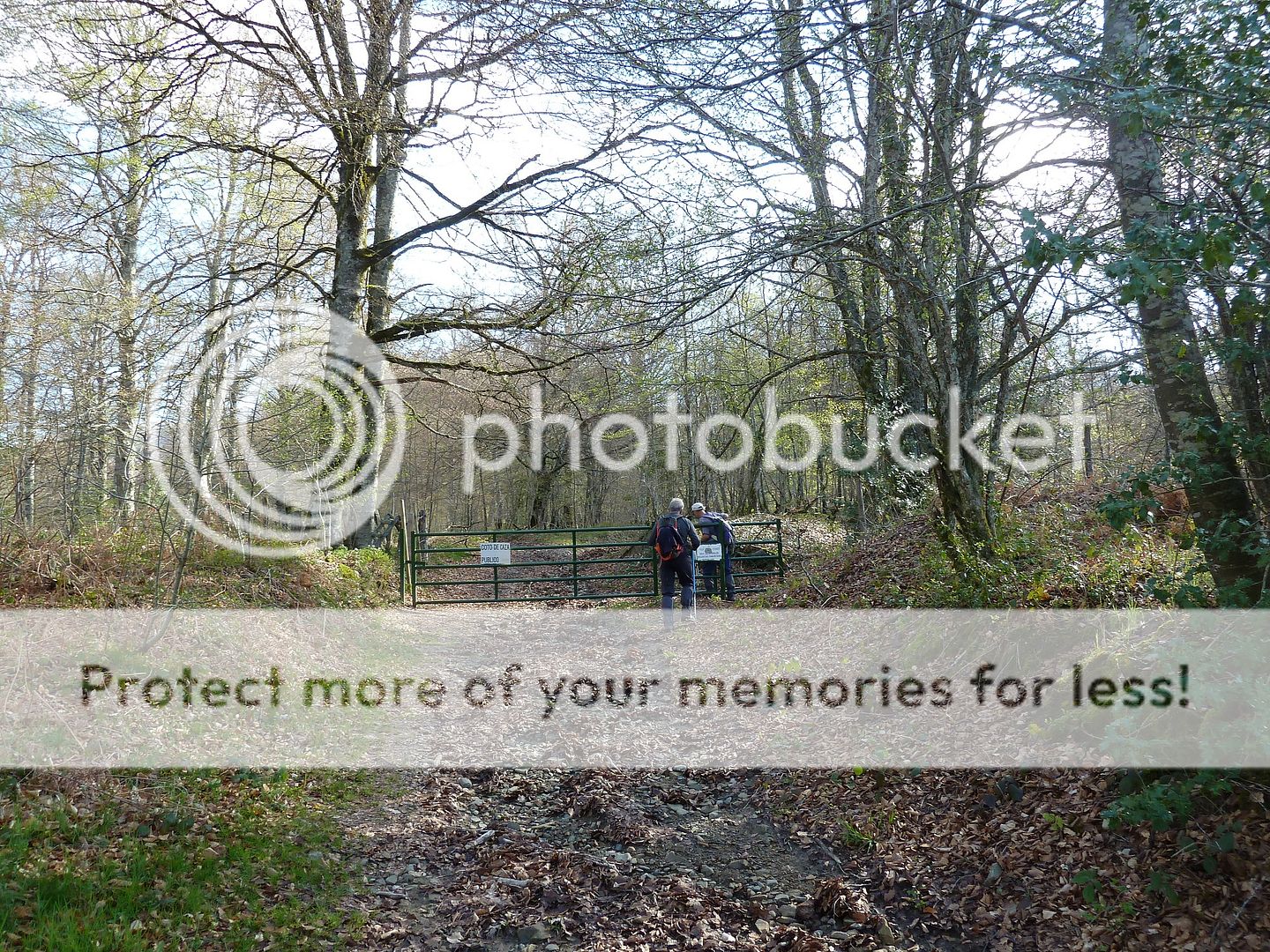 Photo Sharing and Video Hosting at Photobucket