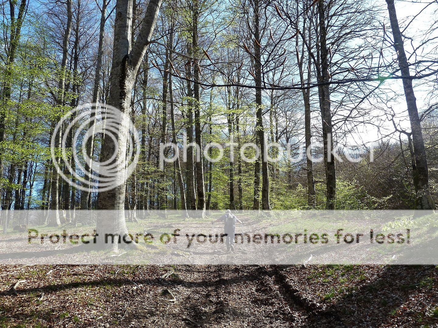 Photo Sharing and Video Hosting at Photobucket