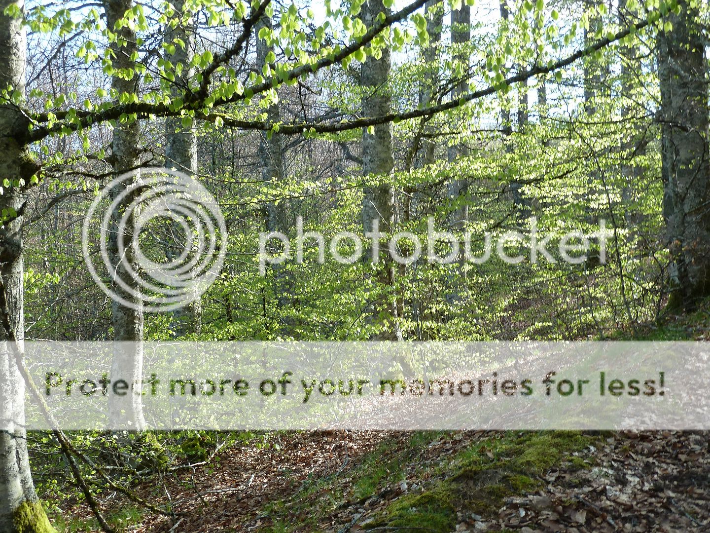 Photo Sharing and Video Hosting at Photobucket