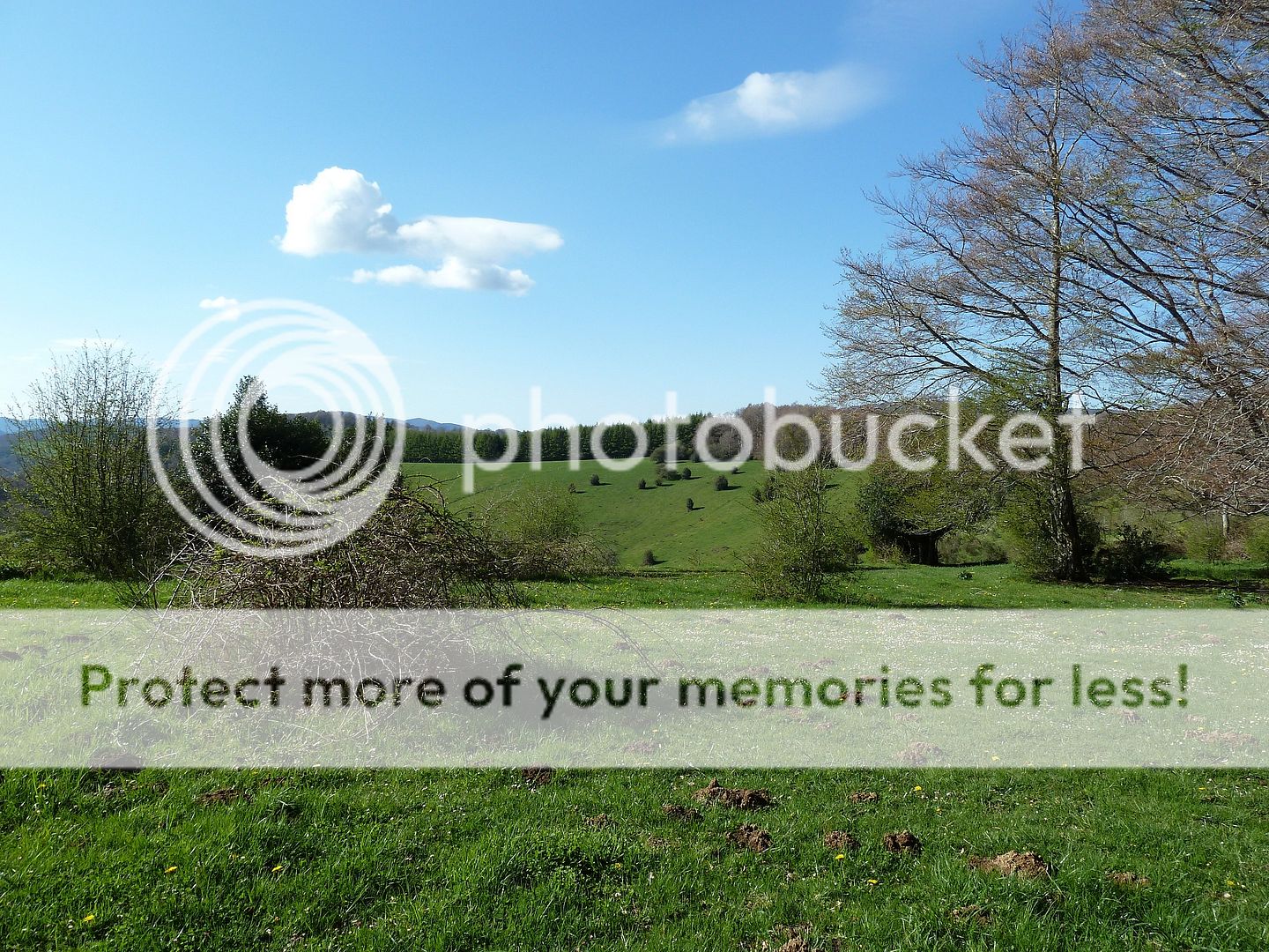 Photo Sharing and Video Hosting at Photobucket