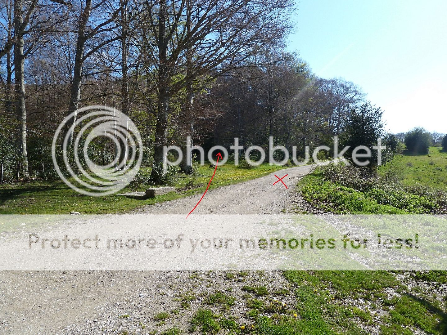 Photo Sharing and Video Hosting at Photobucket