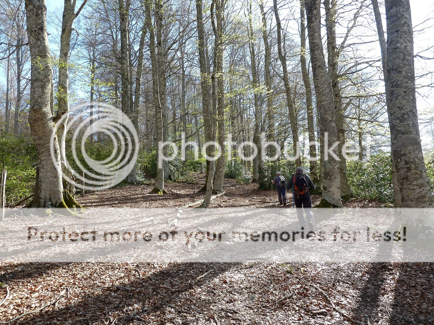 Photo Sharing and Video Hosting at Photobucket