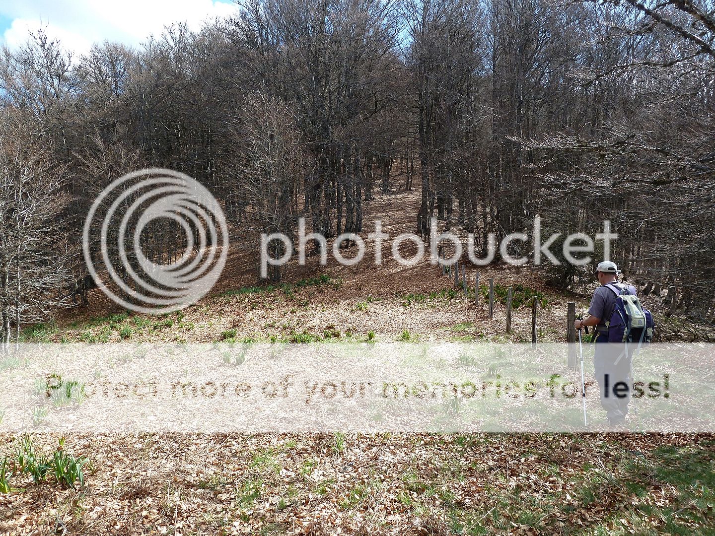 Photo Sharing and Video Hosting at Photobucket