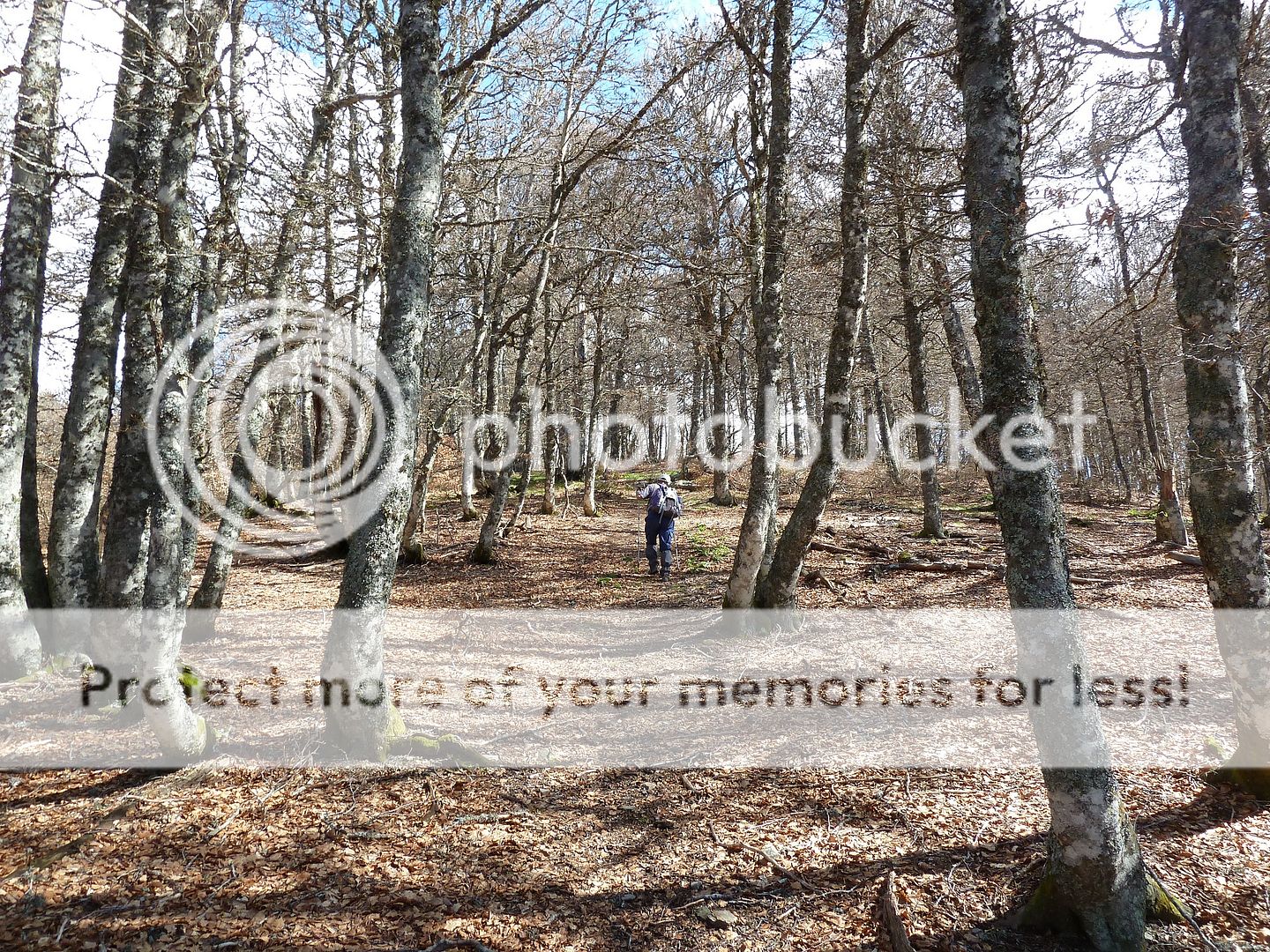 Photo Sharing and Video Hosting at Photobucket