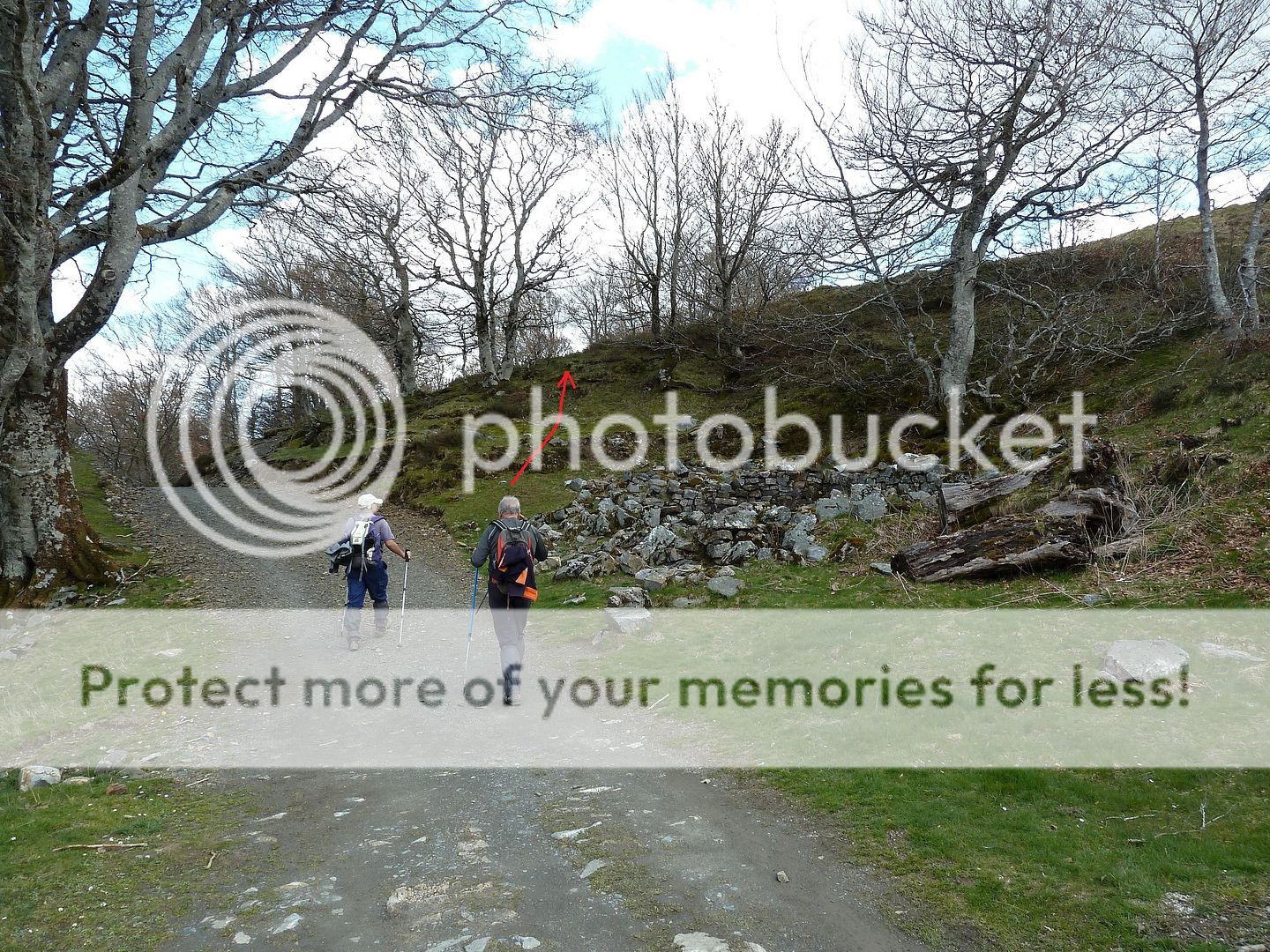 Photo Sharing and Video Hosting at Photobucket