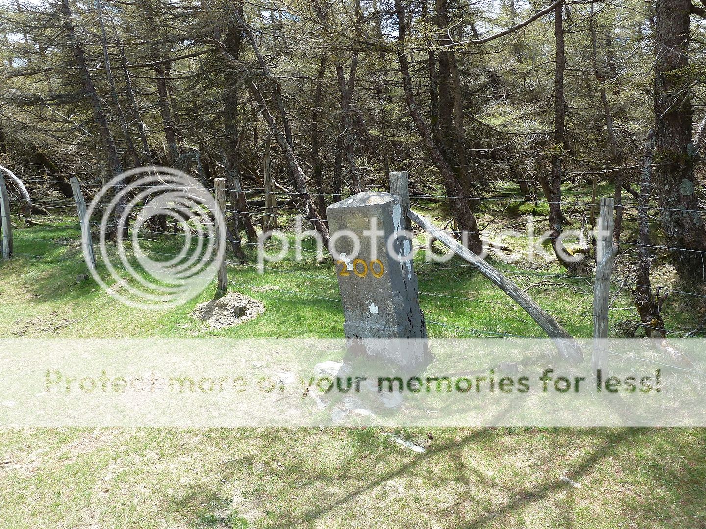 Photo Sharing and Video Hosting at Photobucket