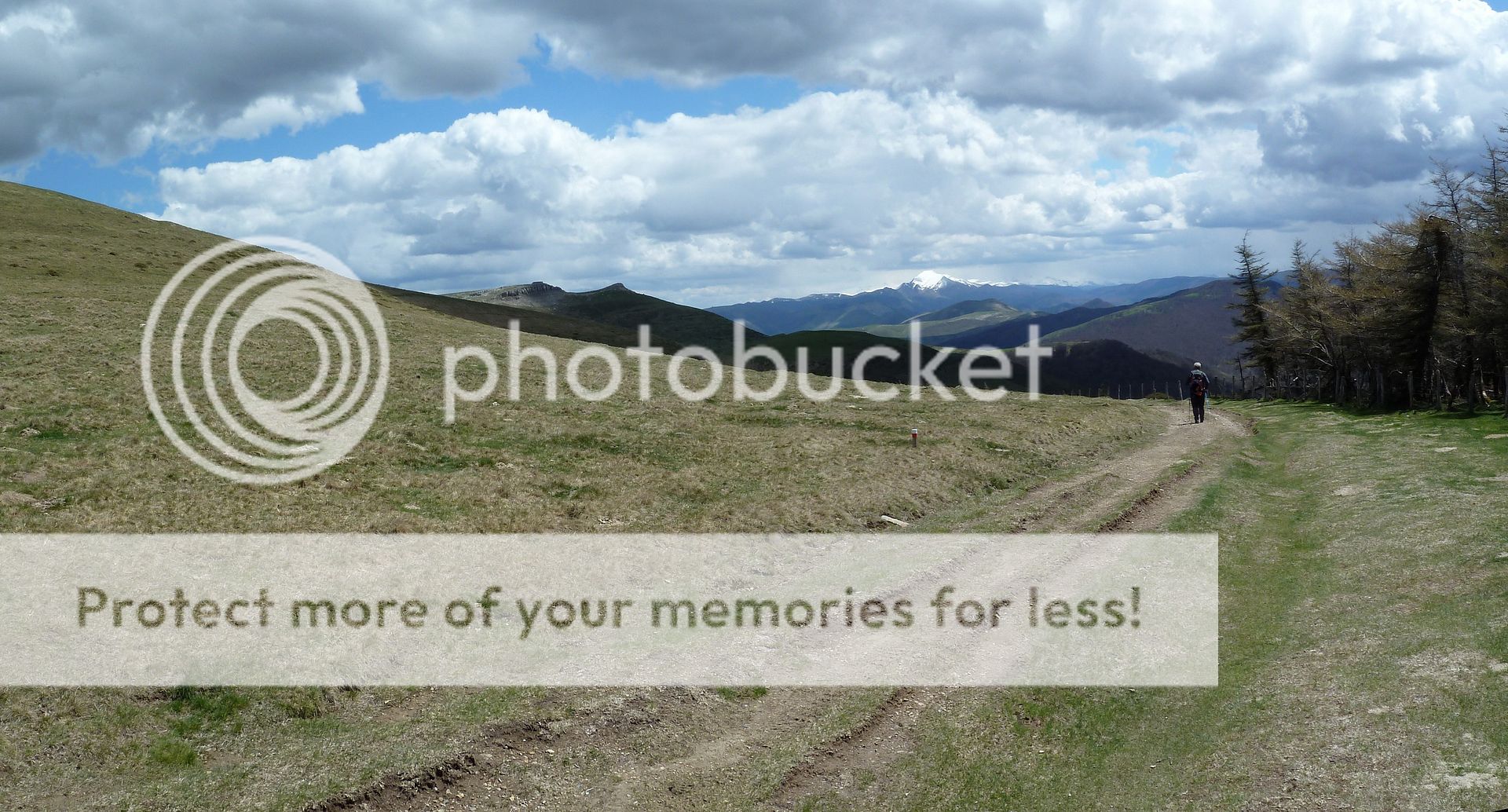 Photo Sharing and Video Hosting at Photobucket
