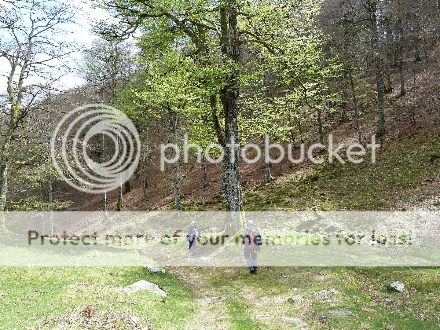 Photo Sharing and Video Hosting at Photobucket