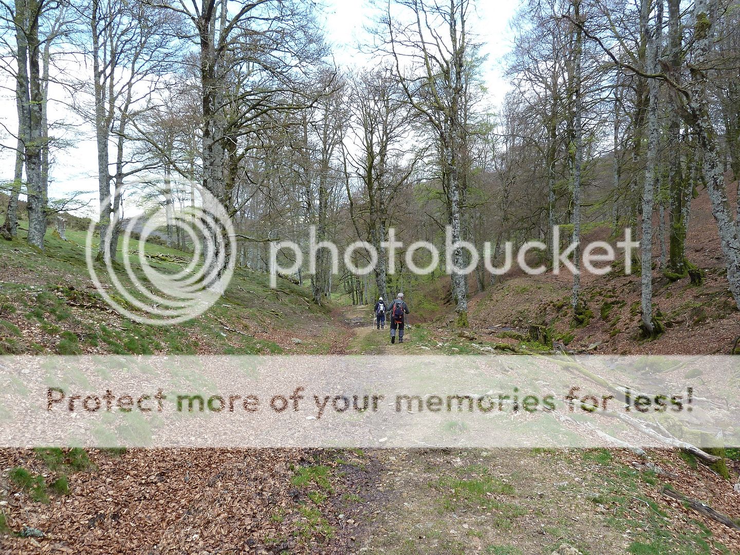 Photo Sharing and Video Hosting at Photobucket